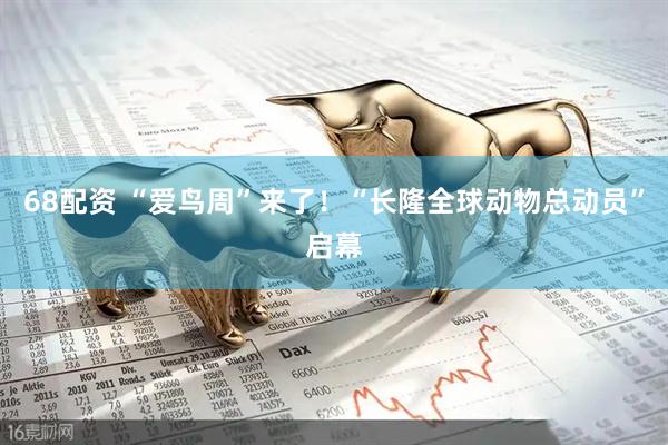 68配资 “爱鸟周”来了！“长隆全球动物总动员”启幕