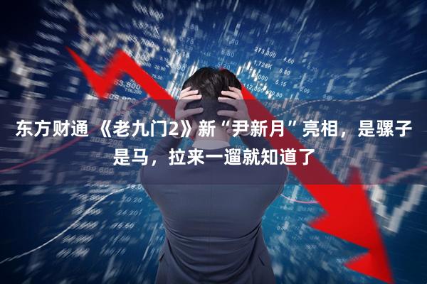 东方财通 《老九门2》新“尹新月”亮相，是骡子是马，拉来一遛就知道了