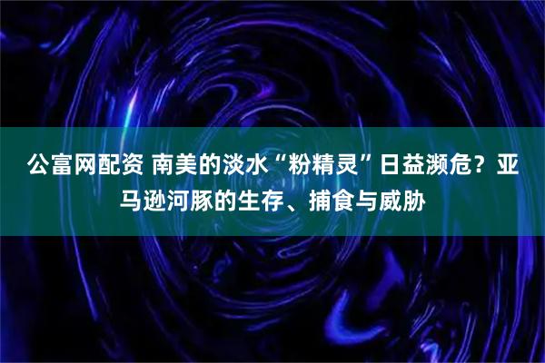 公富网配资 南美的淡水“粉精灵”日益濒危？亚马逊河豚的生存、捕食与威胁