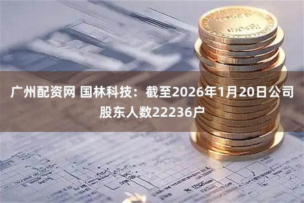 广州配资网 国林科技：截至2026年1月20日公司股东人数22236户