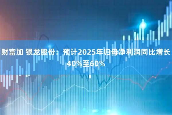 财富加 银龙股份：预计2025年归母净利润同比增长40%至60%